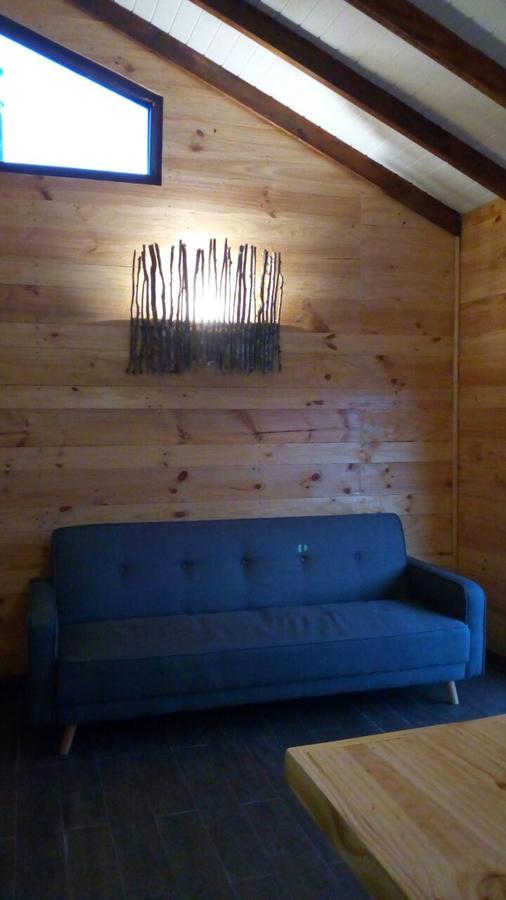 Lackuntur Pucon Departamentos Extérieur photo